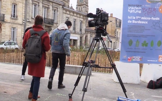 Bordeaux, an ecologist mayor's first steps